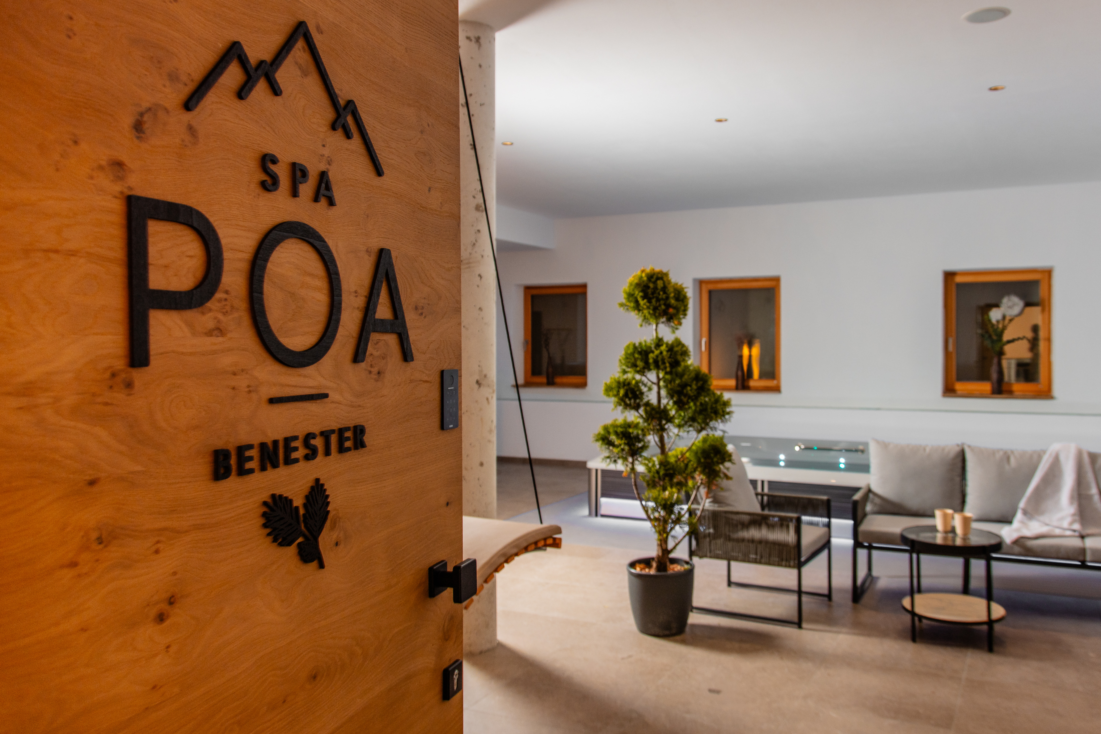 Appartamento con 1 camera da letto e balcone – San Cassiano, Alta Badia · 1 Camera da letto