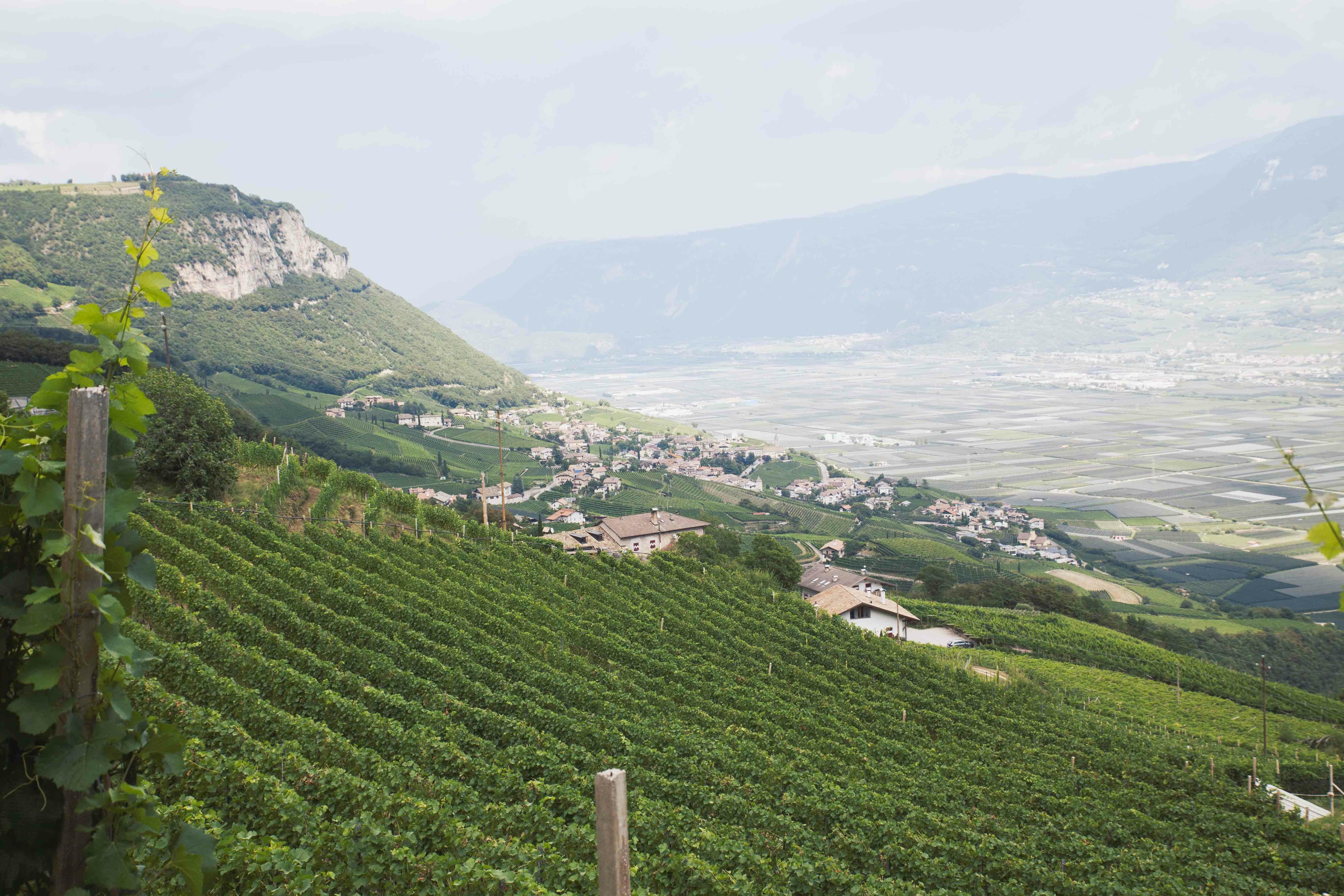 Apartments Brantenhof – Cortaccia, Magrè e Cortina all'Adige, Strada del Vino dell'Alto Adige